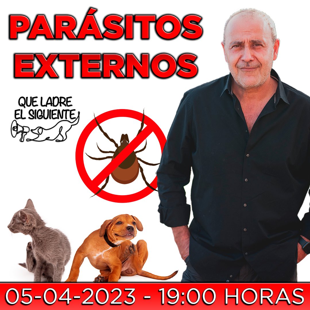 A las 19:00 comienza un nuevo directo de “Que ladre el siguiente”.
Hoy, el veterinario <a href="/carlosmascotero/">Carlos Rodríguez</a> nos hablará de los parásitos externos en perros y gatos 🐾
¡No te lo pierdas!
youtube.com/live/55Pcqr06j…