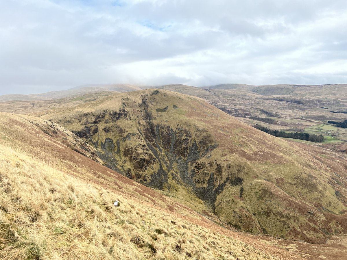 Rewild Scotland 🏴󠁧󠁢󠁳󠁣󠁴󠁿🌳 tweet media