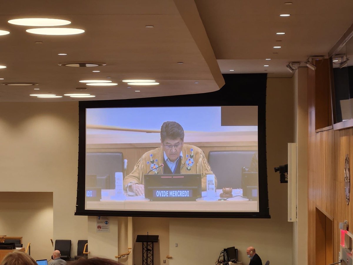 ILC Canada Ambassador Ovide Mercredi at the UN General Assembly calls for a UN convention on the rights of older persons and calls out the horrific impact of racism and colonial on Indigenous Elders and in all Indigenous  people.