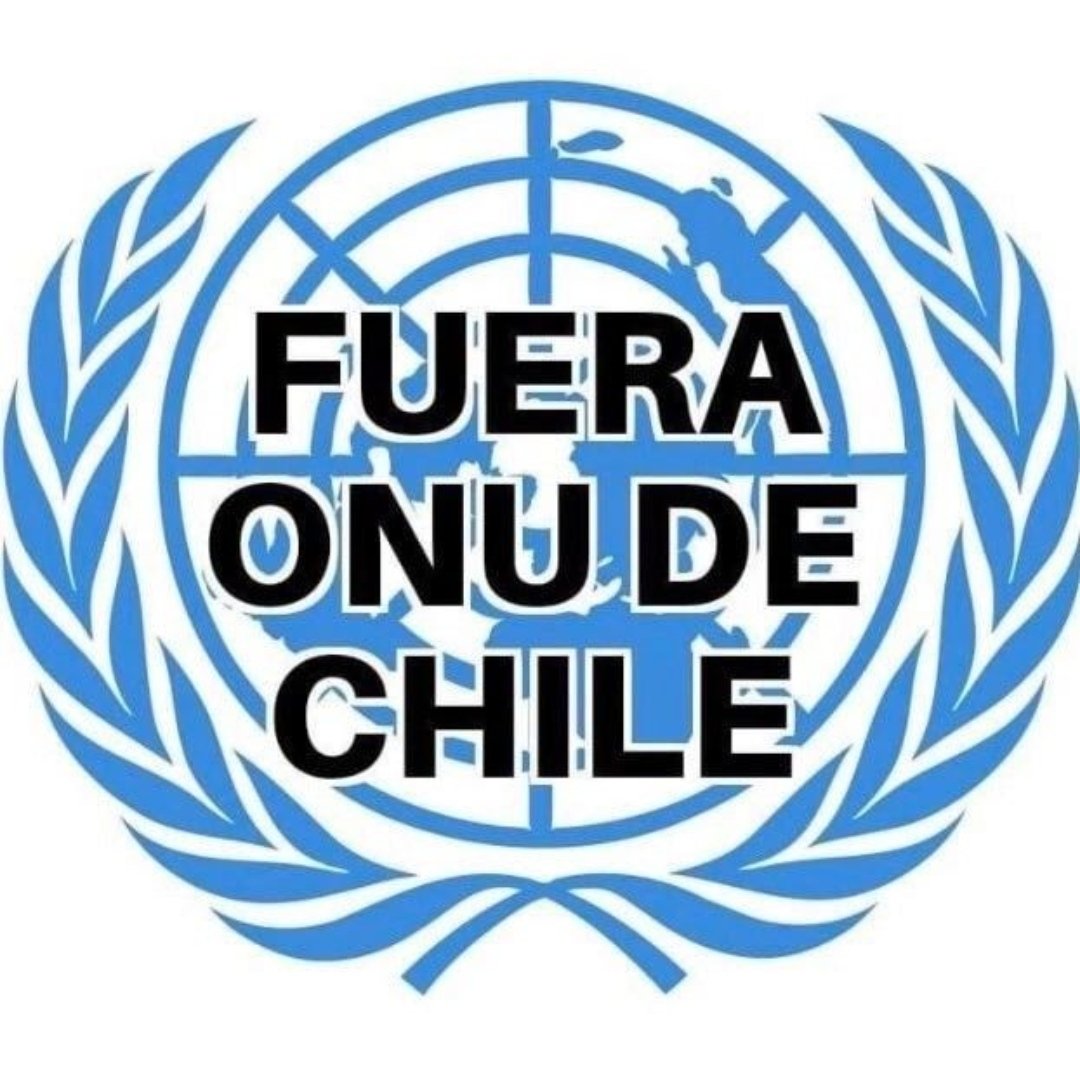 patriota_1972's tweet photo. Fuera ONU de Chile‼️
Responde Fuera https://t.co/3hrXjaajfB