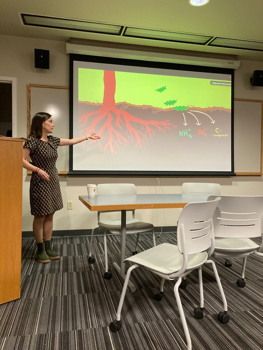 BU Biogeosciences (@bubiogeo) on Twitter photo Today we're enjoying a talk from <a href="/crvietorisz/">Corinne Vietorisz</a> on fungal-mediated nutrient cycling un forest soils! Cool research, Corinne!! Today we're enjoying a talk from <a href="/crvietorisz/">Corinne Vietorisz</a> on fungal-mediated nutrient cycling un forest soils! Cool research, Corinne!!