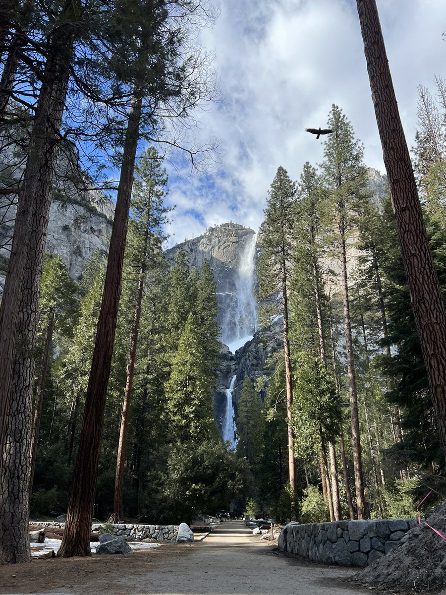 LibbyMarshPR's tweet photo. Thank you @yosemitenation for the most incredible few days in @YosemiteNPS! Spring is here and the park is just waiting to be explored #VisitTheUSA https://t.co/WSVrQb1Zj4