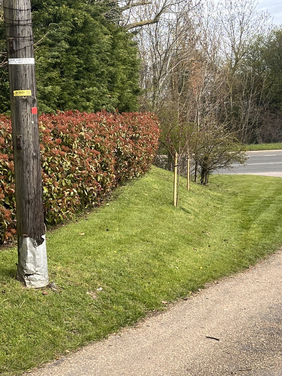 DH_Maintenance's tweet photo. Then it was on to these - wanted to lightly #scarify main lawn has had a #franchise treatment & full of #moss - another treatment is due so client didn’t want it done🤷♂️ just topped & had to tidy the driveway as well - #looksbetter 👍 https://t.co/qxqLYmRB2B