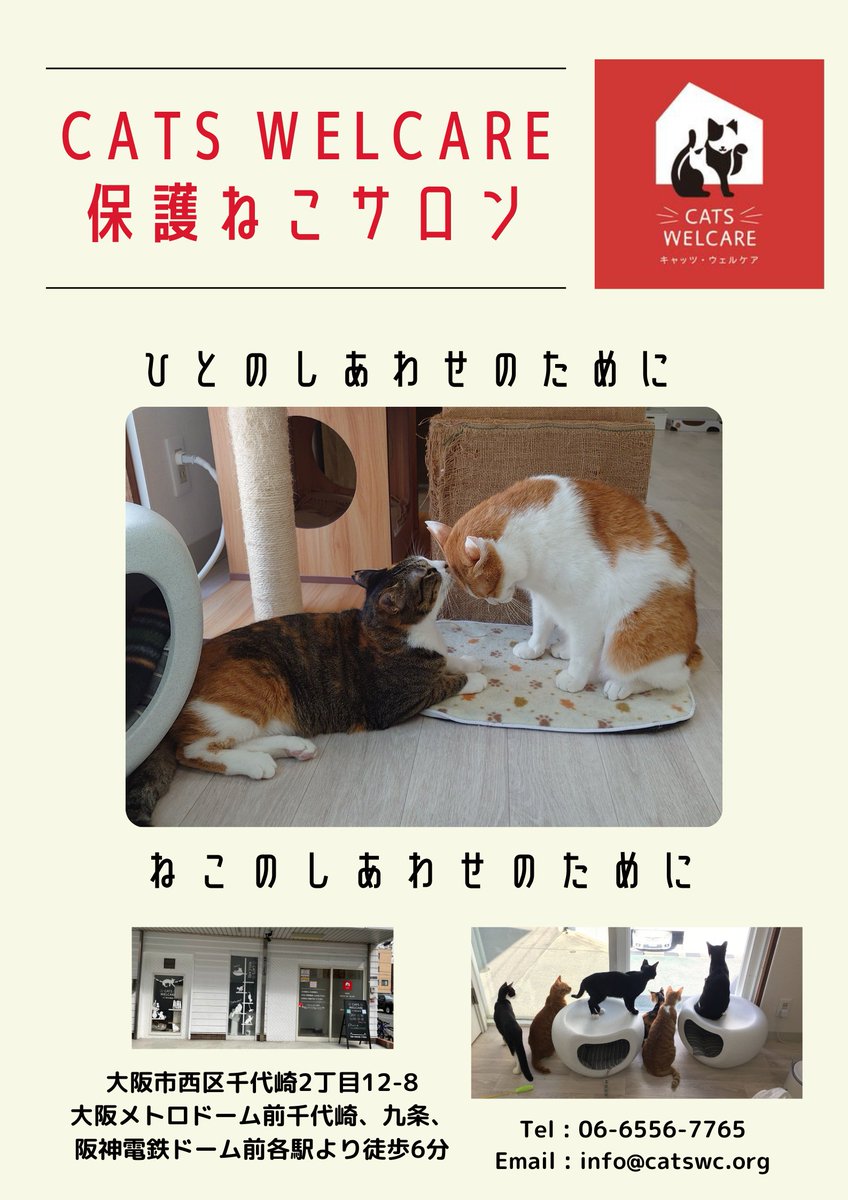OsakaVolunteer's tweet photo. \ #保護猫 /施設に保護されたネコたちを支援します🐈
ネコ好きであればできることが必ずあります!
【日時】
毎日10:00-20:00の間で相談
【場所・募集先】
保護ネコ施設 CATS WELCARE(最寄:大阪メトロ「ドーム前千代崎」「九条」)
@CWelcare
詳細
☞ https://t.co/G04qvFb3Or
#L006 https://t.co/ysjiHfQ0Gp