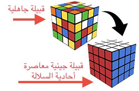 ابن سالم tweet media