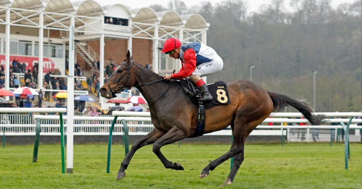 Nottingham Racecourse on Twitter: 