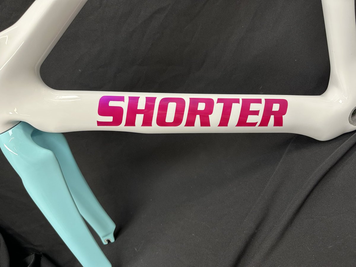 Bold Designs tweet media