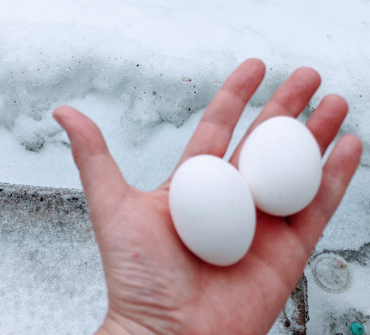 ChrisOx (@chrisoxley10) on Twitter photo <a href="/ButtonsThoughts/">Grace Vanderzande π¨π¦</a> <a href="/MIHomeYGK/">π¨π¦ Make It Home YGK</a> Yes, be careful out there! lol
#ONStorm <a href="/ButtonsThoughts/">Grace Vanderzande π¨π¦</a> <a href="/MIHomeYGK/">π¨π¦ Make It Home YGK</a> Yes, be careful out there! lol
#ONStorm