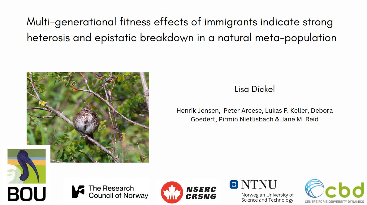 1/6 #BOU2023 #SESH4
What are the genetic and fitness consequences of natural immigration in a wild meta-population?

I am a PhD candidate in evolutionary biology at @CBD_NTNU @ntnu supervised by @janemreid1, Henrik Jensen, @LukasFKeller, Peter Arcese and Pirmin Nietlisbach.