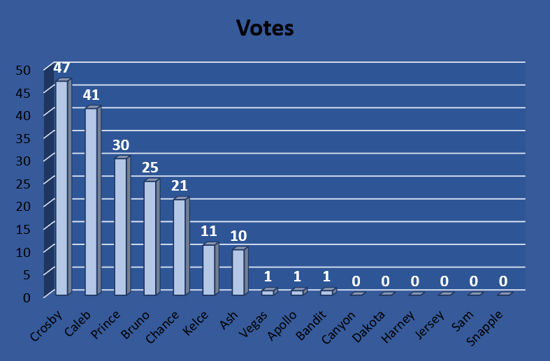 Paws_Affection's tweet photo. New pupdate! 

Will one of these top dogs be the winners? Or will another underdog come up from behind? It's still anybody’s game, so keep voting and sharing!

Contest ends TONIGHT at 7pm, so don't wait! Top two names will win. 

https://t.co/jfQxl2Ip7M

*Standings as of 12:30pm* https://t.co/4PsO09jT9Q