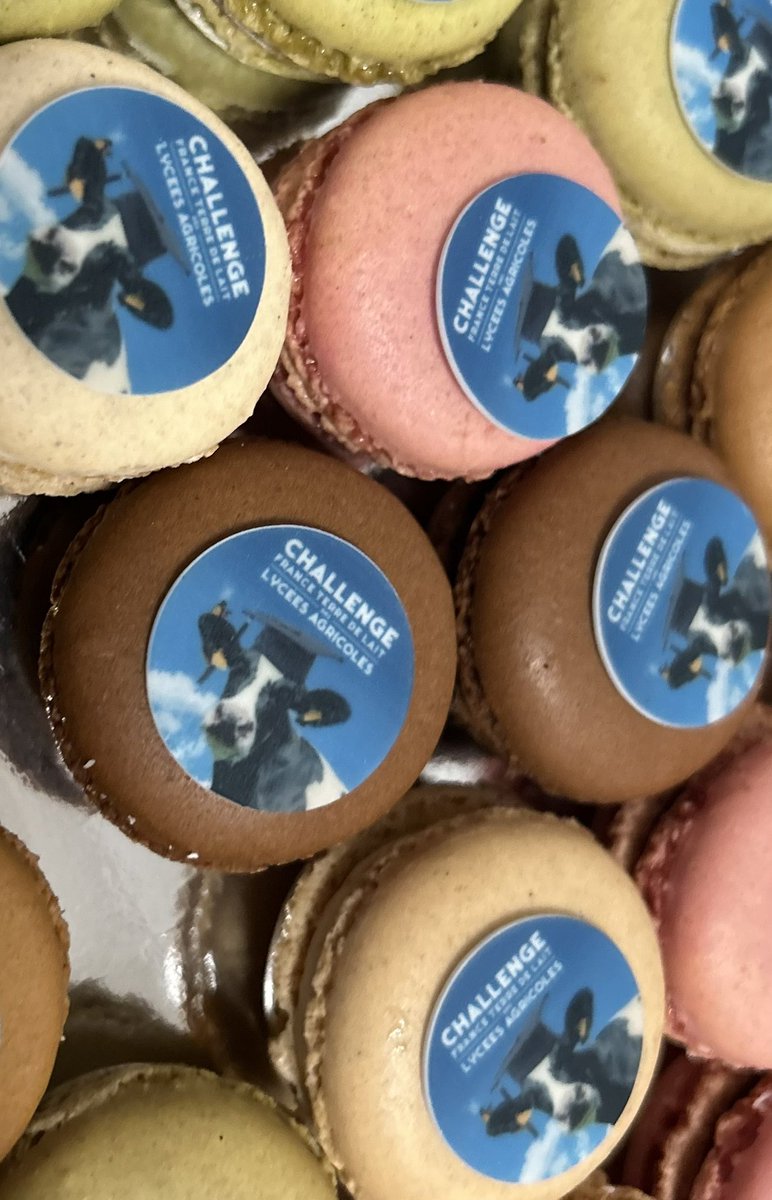 Caroline LE POULTIER HELLEISEN tweet media