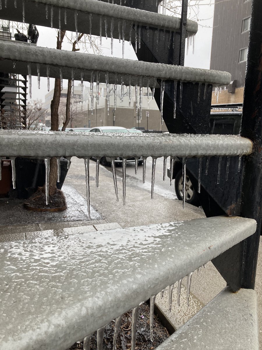 Gwladys Bonnassie tweet media