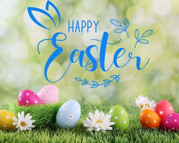 bow_gc's tweet photo. Happy Easter from the team at Bow Garden Centre 😃 Relax with us this Bank Holiday Weekend, enjoying beautiful blooms, home-made food, and much more... - https://t.co/7x6rxN2KdM https://t.co/2qGWf8TDA2