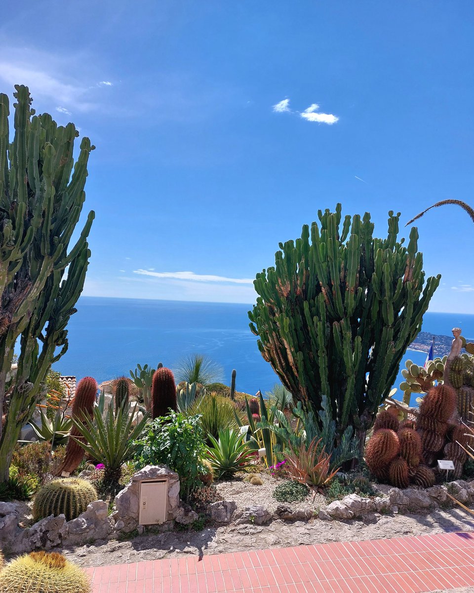 Lucile Qnrt tweet media