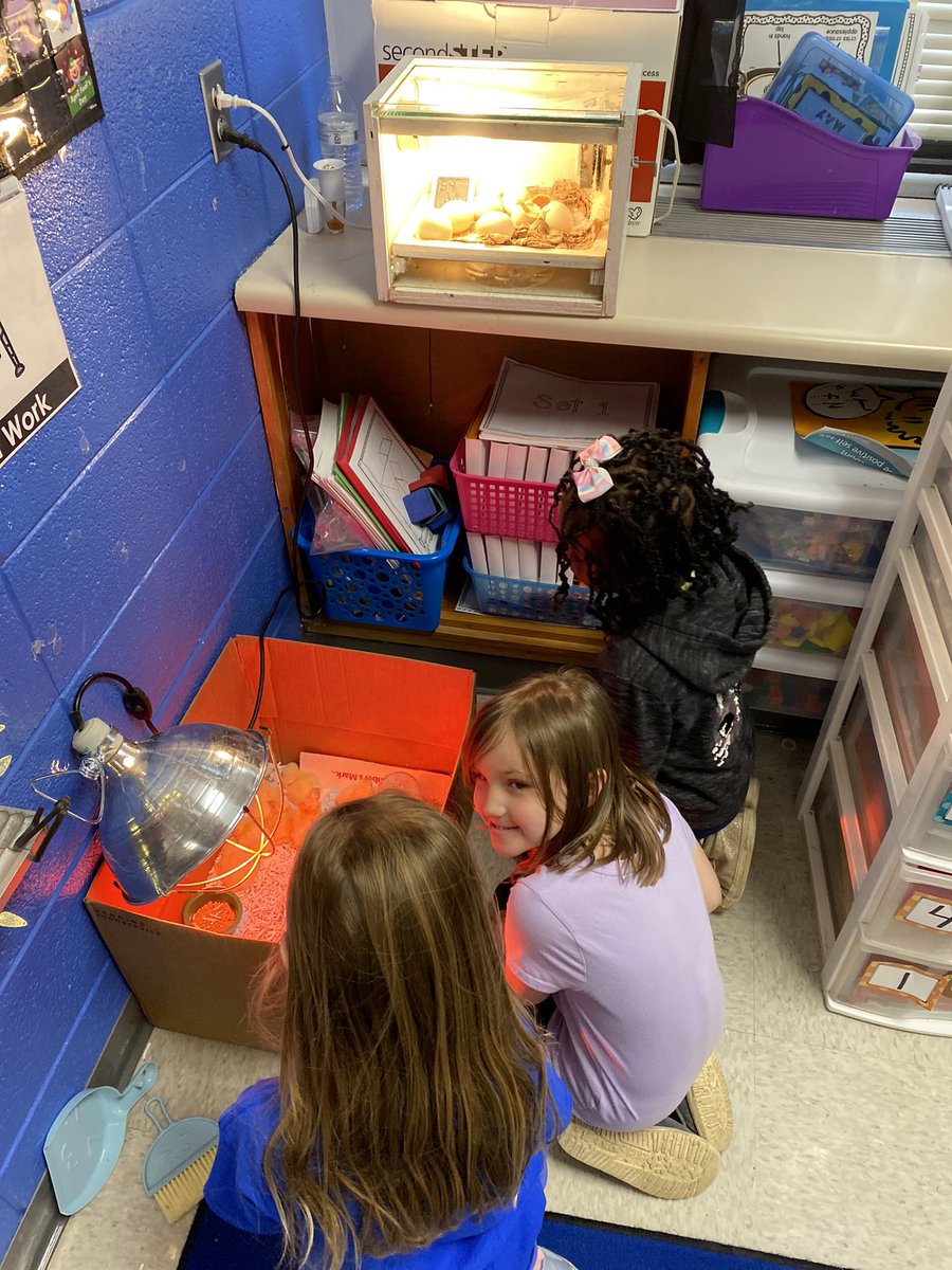 North_Tweets's tweet photo. It has been an EGG-citing week at North Elementary! Spring is really peeping! #Proud2BNorthies #WeAreElementary #JCSchoolsChampions https://t.co/UK5BZmLxwz