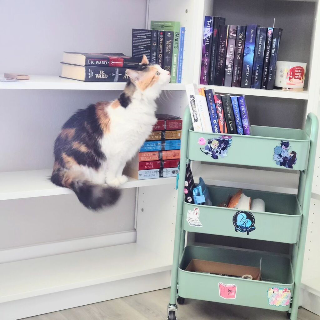 When you're trying to decide what book to read next. 💕 What are you reading lately? 

#bookcollection #bookstagram #catsandbooks #romancebookstagram #bookshelvesofinstagram #calicocats instagr.am/p/CqL4tJ7vleC/