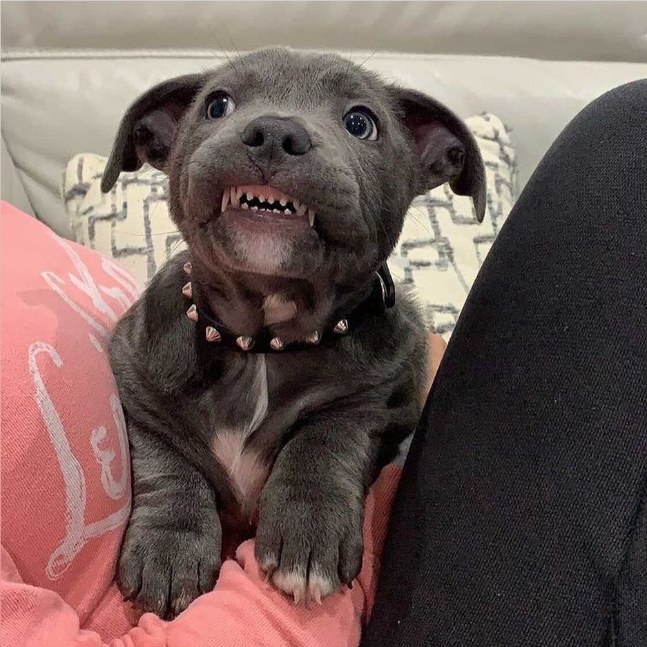 itimaliasof's tweet image. 