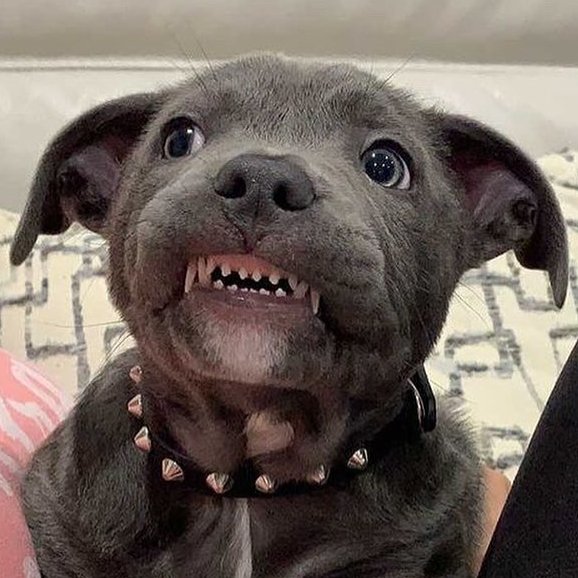 itimaliasof's tweet image. 