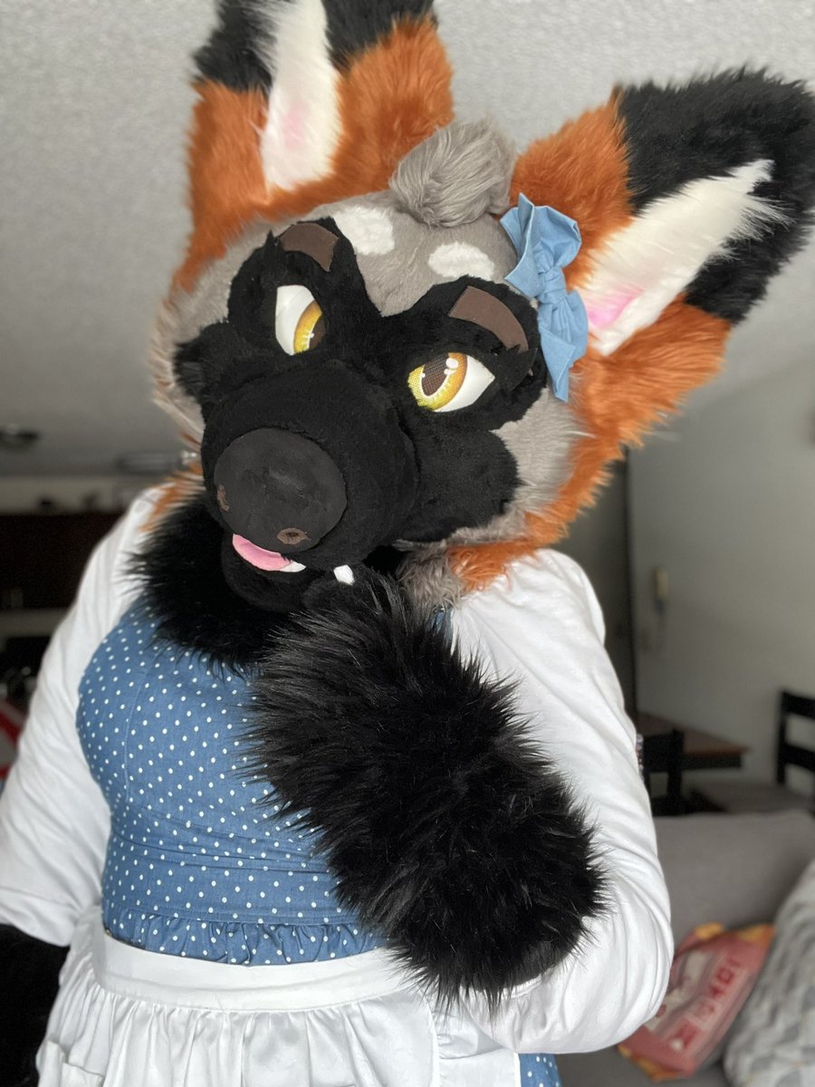 SerenaJack55's tweet photo. Happy #fursuitfriday everyone! Hope you enjoy a cute fox on your TL!! https://t.co/XW5Ta2JAWi