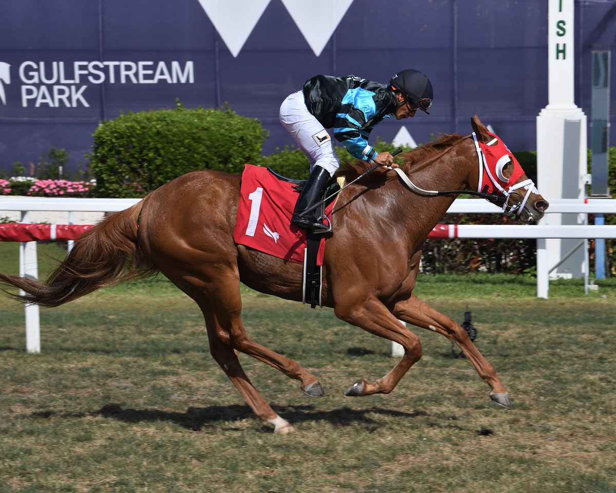 GulfstreamPark's tweet photo. Mandy Green, with Paco López, closes strong to capture race 8 for trainer Kevin Attard. #GulfstreamPark #ChampionshipMeet https://t.co/6JFUGC9bRC