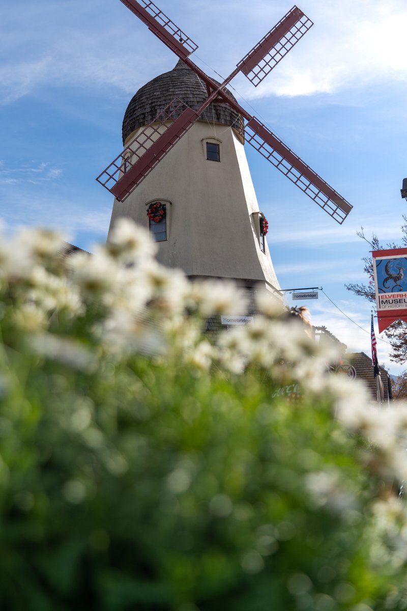 Nothing but blue skies this weekend. ☀️😎