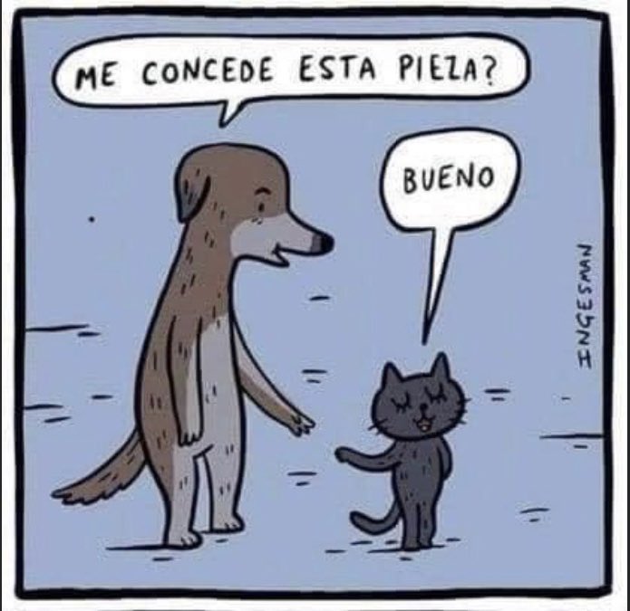 DiloConPerritos's tweet photo. - Lo mejor será que bailemos. - ¿Y que nos juzguen de locos? - ¿Usted conoce cuerdos felices? - Tiene razón, bailemos. https://t.co/7Nt94RPvP9