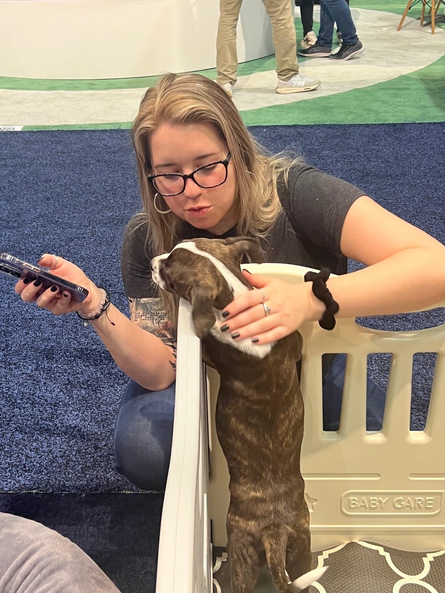 The #PetLoverGeek / #PetHub team have wrapped up their time at #GlobalPetExpo and we are on our way home. We can’t wait to share about what we’ve learned with our pet parent community! <a href="/GlobalPetExpo/">Global Pet Expo</a>