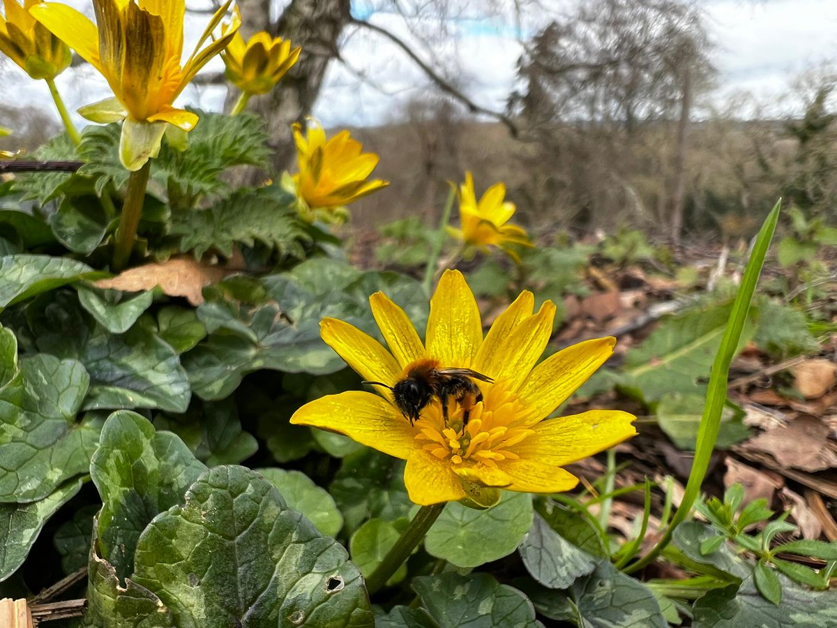 It's #EarthHour tomorrow at 8.30pm.  Will you join millions in turning off power for one hour?  <a href="/ARochaUK/">A Rocha UK</a> <a href="/arochaint/">A Rocha International</a> <a href="/WWTworldwide/">WWT</a> <a href="/wwf_uk/">WWF UK</a> <a href="/Natures_Voice/">RSPB</a> <a href="/GreenChristian_/">Green Christian</a> @OperationNoah <a href="/ChrisGPackham/">Chris Packham</a> <a href="/hazelnutfarmcom/">Hazelnut Community</a>