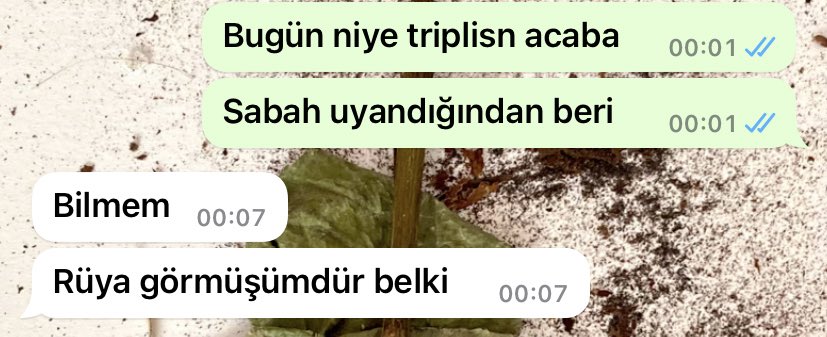 Sizin manitanız normal mi yoksa sizi  rüyasında her gördüğünde trip atan bir deli mi 💅🏻