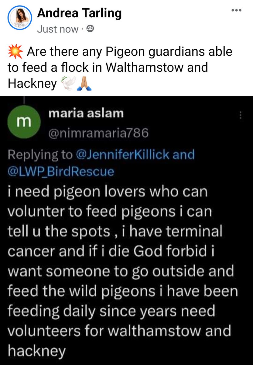 Andrea T tweet media