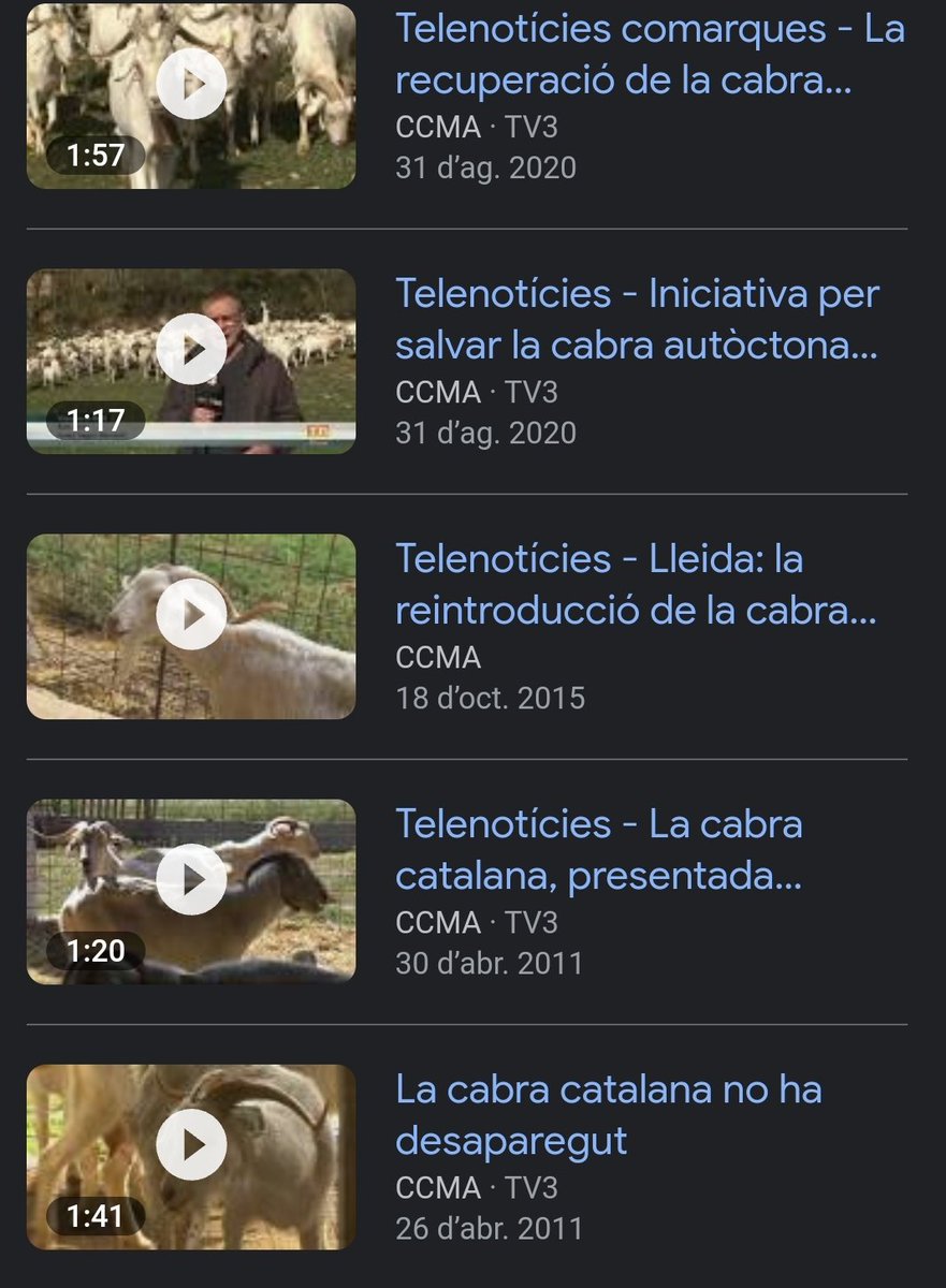 CULTURES TROBADES tweet media