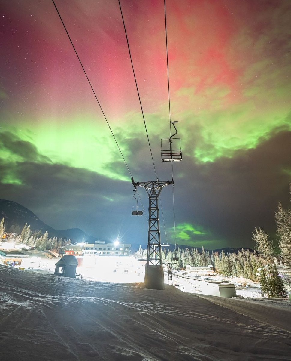 redresort tweet media