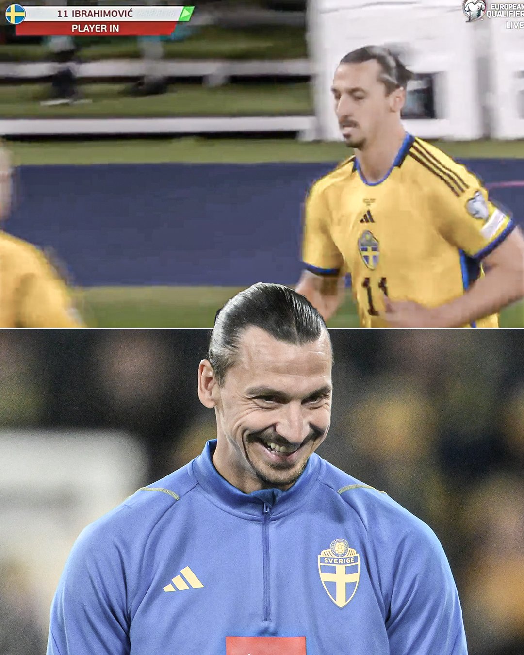 Zlatan Ibrahimović - Player profile