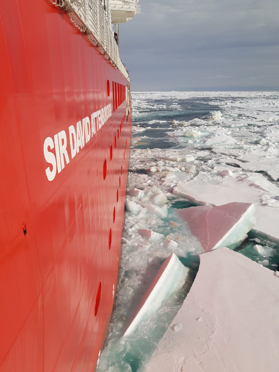 Oceans_Anna's tweet image. Back home after 2 months away aboard #RRSSirDavidAttenborough after successful #SDAscience trials cruise. A really awesome mix of science on board, from seawater sampling to mud scooping, to krill counting.  The ship did us well :)