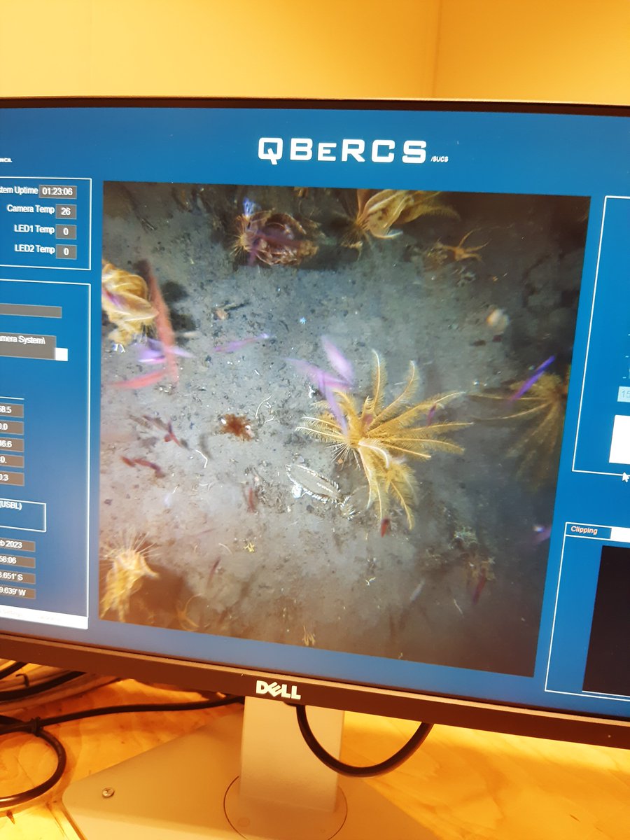 Oceans_Anna's tweet image. Back home after 2 months away aboard #RRSSirDavidAttenborough after successful #SDAscience trials cruise. A really awesome mix of science on board, from seawater sampling to mud scooping, to krill counting.  The ship did us well :)