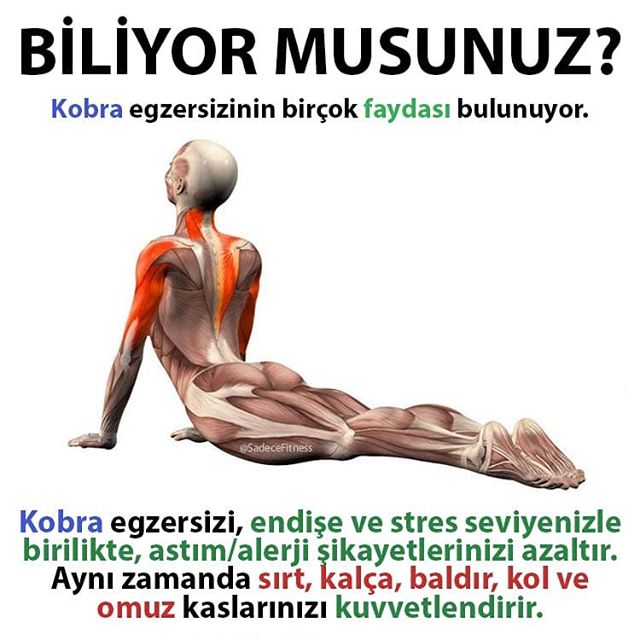 sporrmotivasyon's tweet photo. Biliyor musunuz; https://t.co/83urgm0OQf