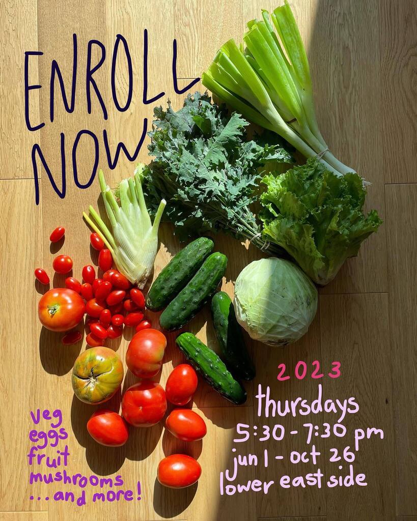 StantonStCSA's tweet photo. Join us! We’re taking enrollments for summer season, distributions every Thursday 5:30 a 7:30 PM, June 1 - October 26, on the Lower East Side.

Sign up by March 26 for best pricing! Or by April 23 for regular pricing, May 14 for late pricing. 

We offer … https://t.co/5tI2K1I9DK https://t.co/AmBOmKyCKH