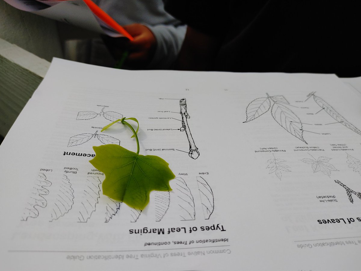 Juliana Yam tweet media