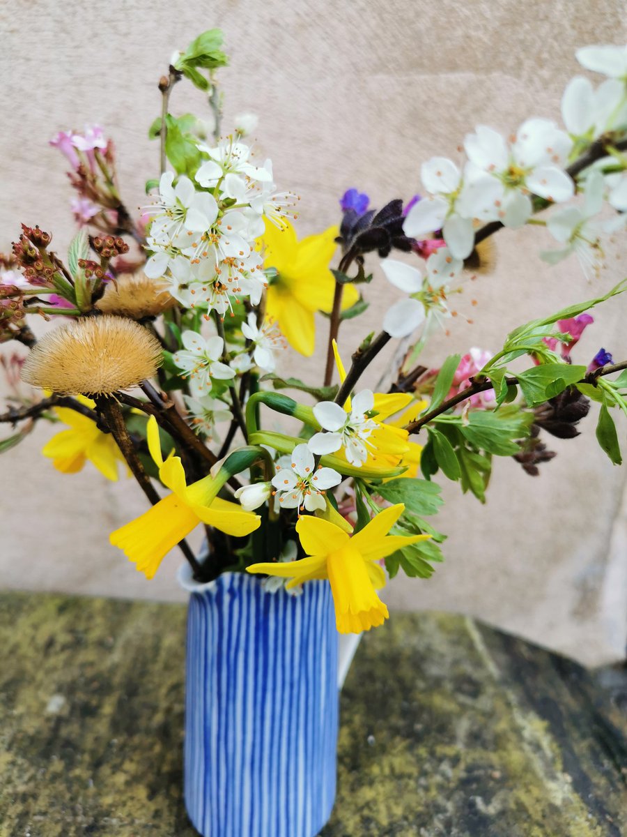 Are you new to gardening? My new course might appeal. Stockton Bury 26th April. Very limited spaces. #Herefordshire eventbrite.co.uk/e/beginner-gar…