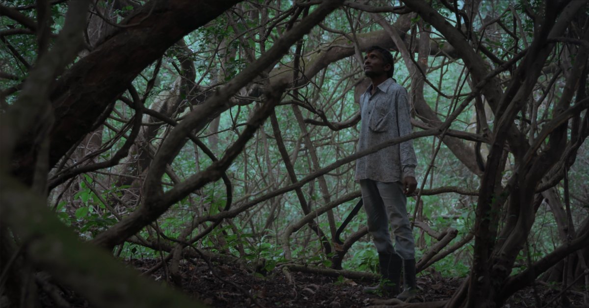 mosaic_misaff's tweet photo. MURMERS OF THE JUNGLE, directed by Sohil Vaidya.  A boy recites a story told to him by his grandmother about the trees and the spirits in their remote indigenous village in the Western Ghats of Maharashtra. #MISAFF23 https://t.co/L0ImDURSLe