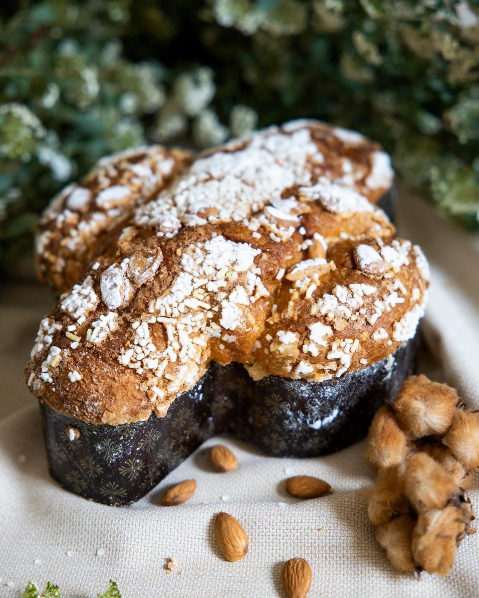 Italia's tweet photo. As we approach Easter, all over Italy you will find many festival delights, one of them is Colomba, the typical cake shaped like a dove. 

📷 IG caramelalafleurdesel

#LiveItalian #ilikeitaly #Traditions #easter #pasqua2023 https://t.co/4FHHayuH9X