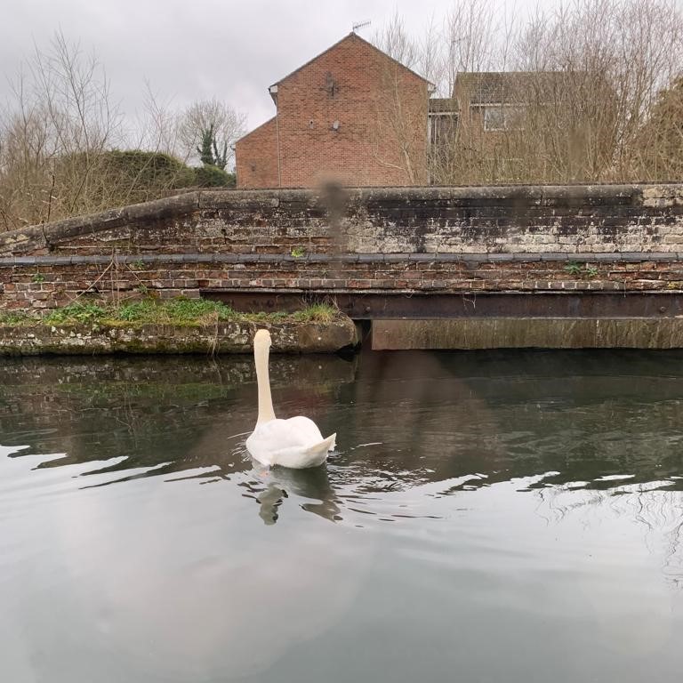 RevitaliseNow's tweet photo. From Jubilee Lodge

Tranquil boat trips on the Grand Union Canal are becoming increasingly popular with our guests. Have a look, these pictures say it all!

#InclusiveBreak #AccessibleTravel #AccessibleHolidays #AccessibleOutdoors #RespiteBreaks #WheelchairHoliday https://t.co/5biy17Ip8K