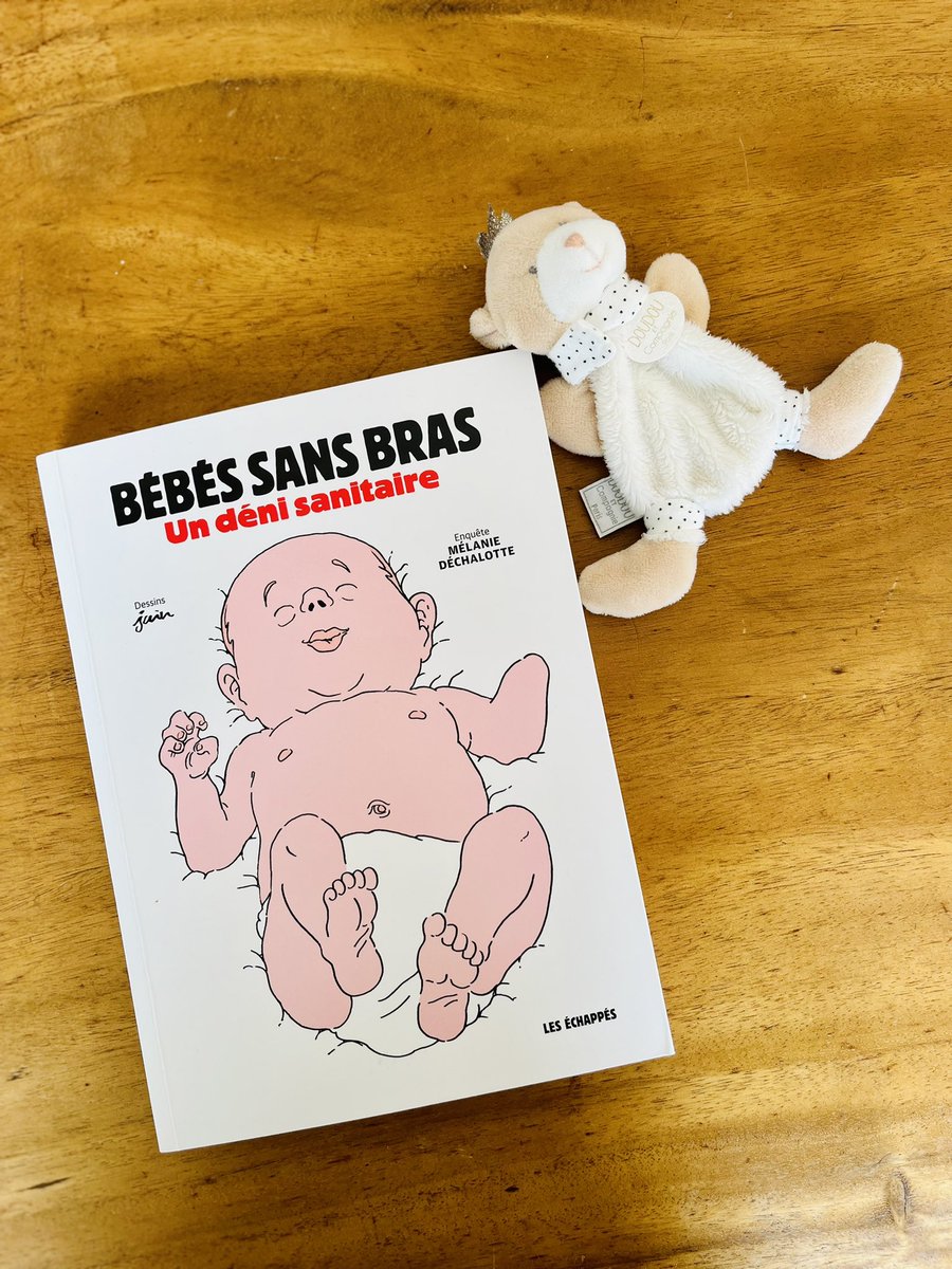 FlamdeNesry's tweet photo. @MelDechalotte et le dessinateur pour Charlie Hebdo Pierrick Juin sortent cette semaine une BD satirique sur l’affaire des bébés nés sans bras. Voici la synthèse de l’intolérable inaction des pouvoirs publics dans ce scandale sanitaire. #santepubliquefrance #Anses https://t.co/6yNLsTHEeu