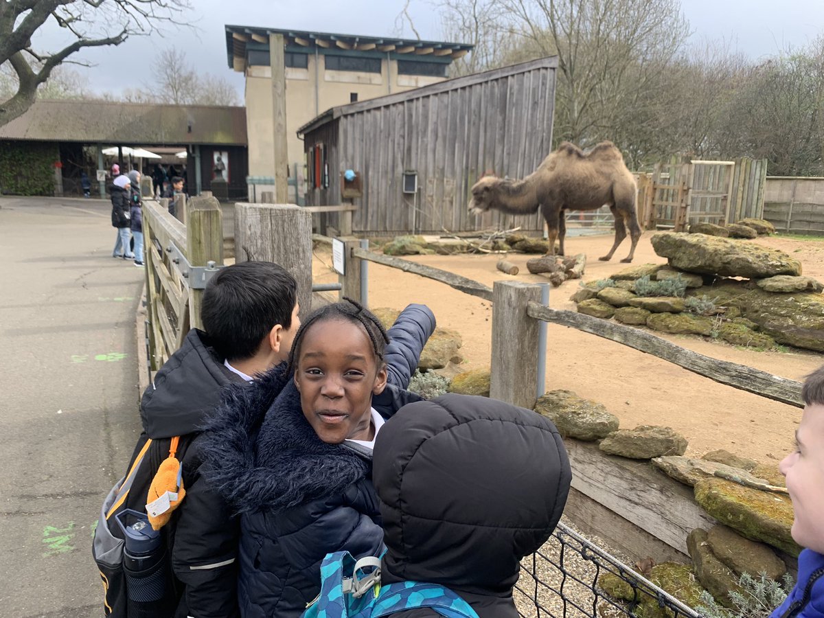 Sycamore Tree Class tweet media