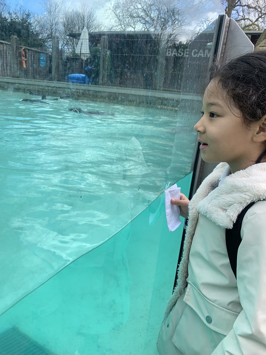 Sycamore Tree Class tweet media