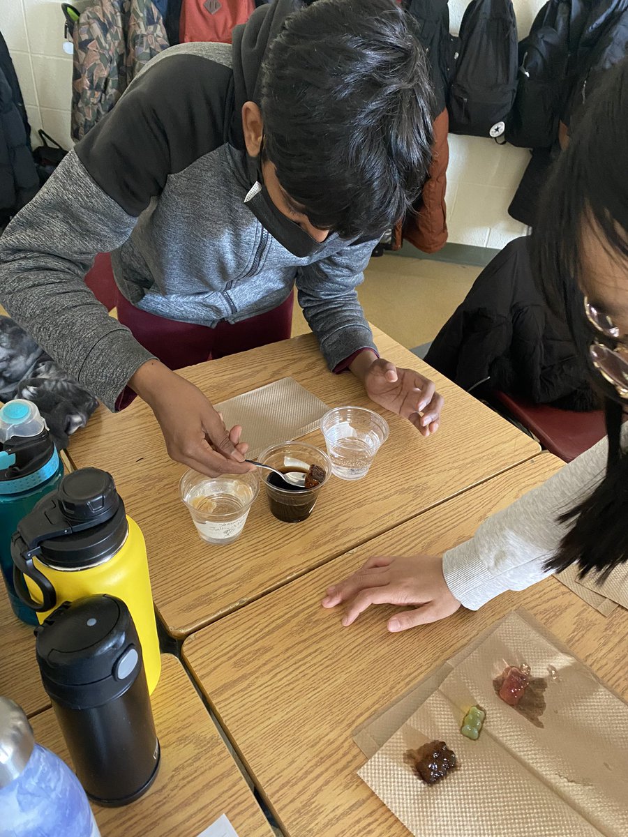 CoutoMr's tweet photo. For our Cells Unit, the Grade 8 Bravehearts are learning about Diffusion and Osmosis by experimenting with Gummy Bears and different liquids. The hardest part is trying not to eat them first! @ValentineDPCDSB @DPCDSBSchools https://t.co/RIagWxajYY