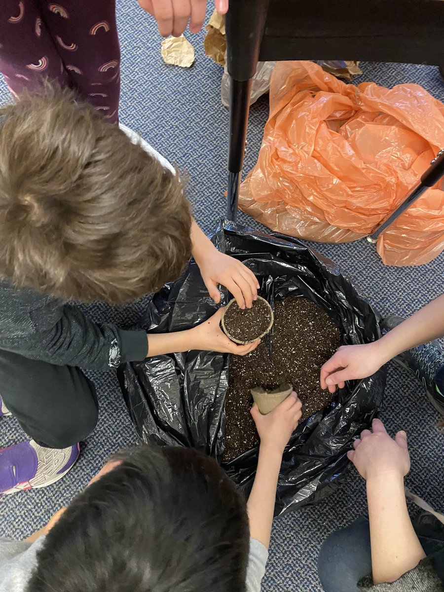 HabermellM's tweet photo. Three Valleys students planting seeds to grow in their classrooms.  Next step, planting seedlings in a garden bed dedicated to Three Valleys! 🌸🌻☀️Thank you Anelia and Melodie from The Common Table for leading these workshops! https://t.co/R6BTYeAJzc