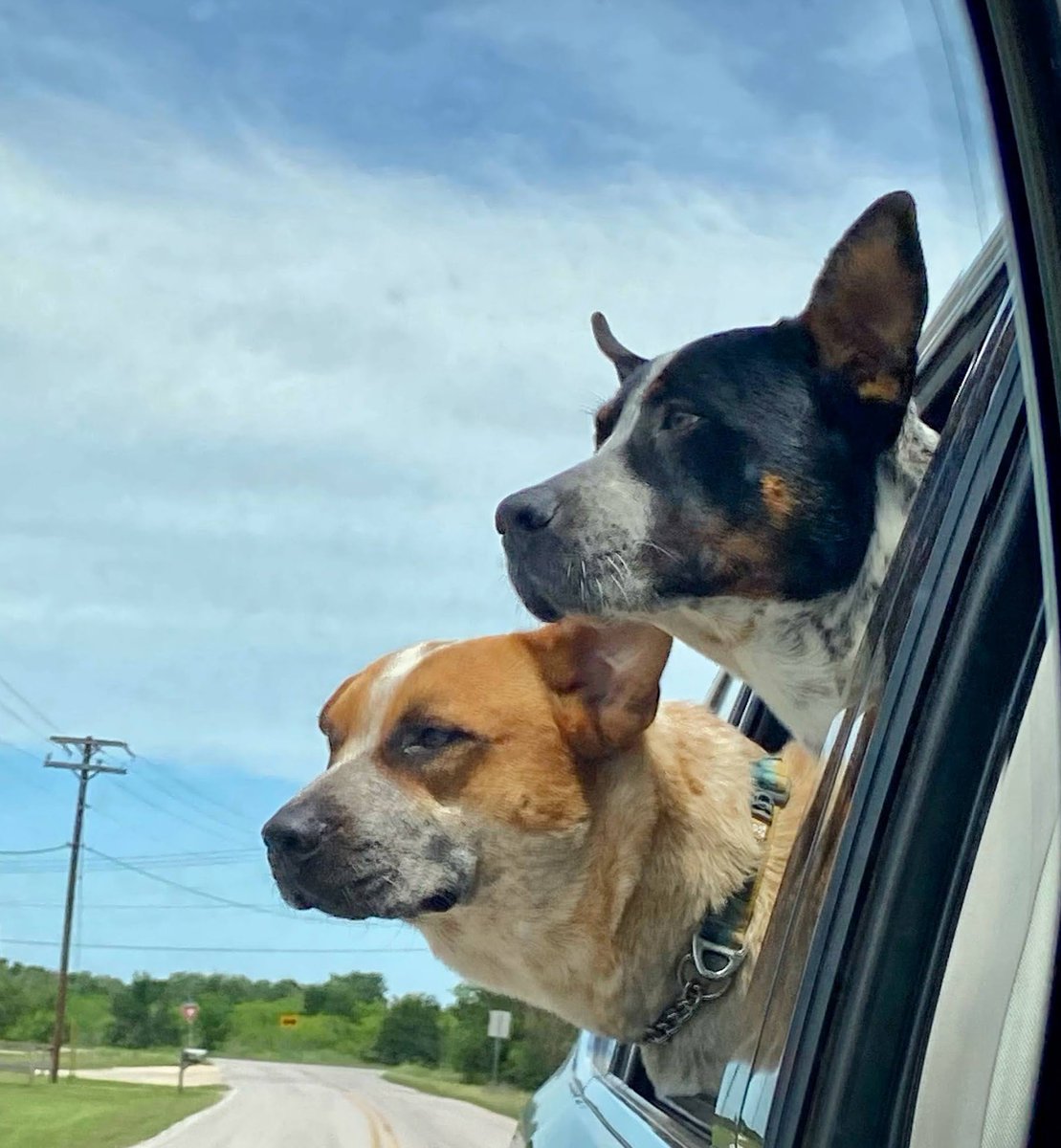 Thomas Graham tweet media