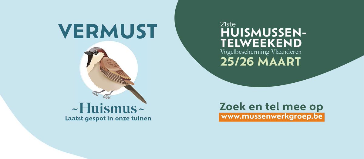 gemBuggenhout's tweet photo. Het gaat niet zo goed met onze immer vrolijk tsjilpende huismussen! Help het onderzoek van Vogelbescherming Vlaanderen en tel op 25 en 26 maart de huismussen in jouw tuin! Meer info via https://t.co/JOxPx3xqO0 #Vermust #Huismussentelweekend https://t.co/efDNBsdI7Y