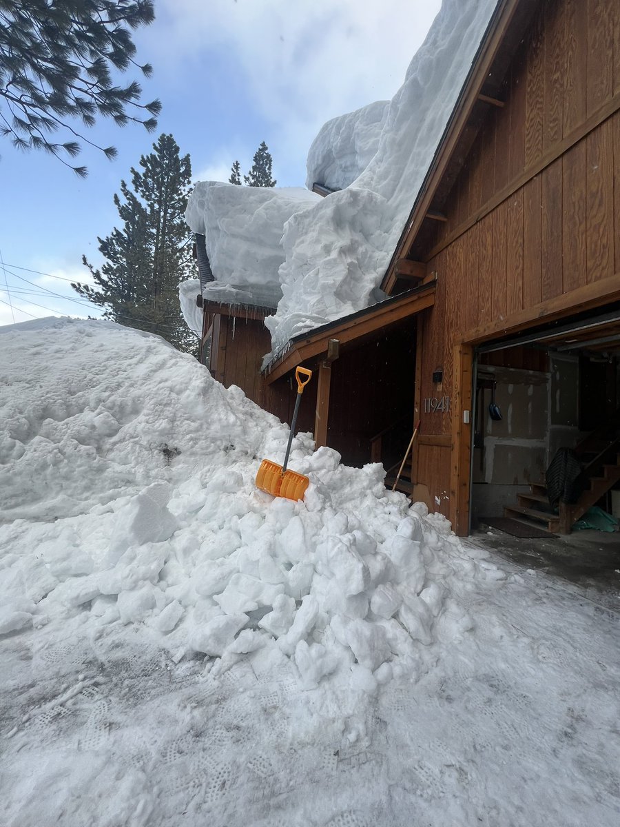 Mike Simonsen 🐉 tweet media